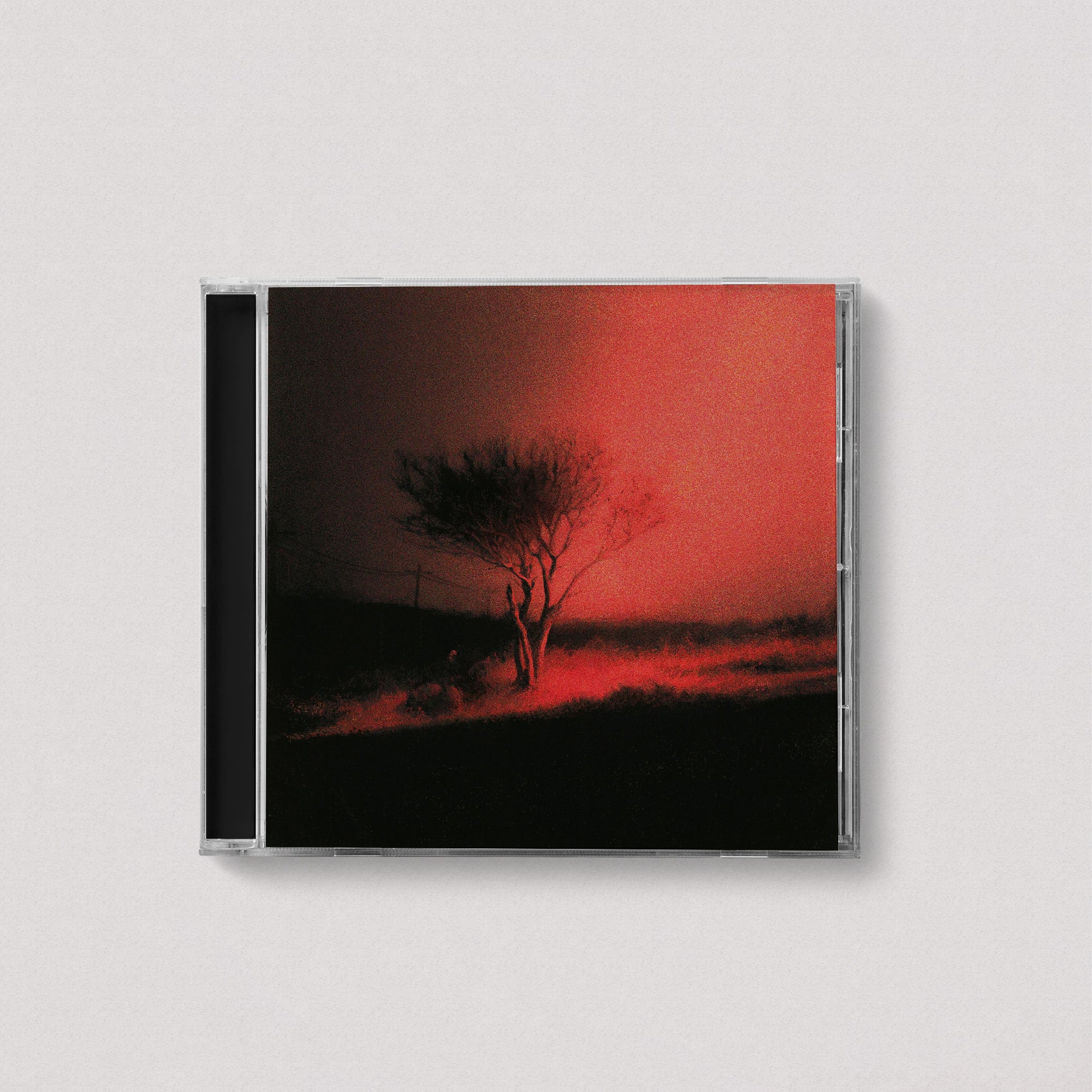 JOJI - Piss In The Wind (Standard, CD)