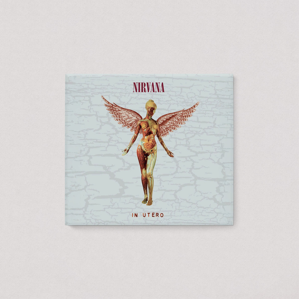 Nirvana - In Utero "30th Anniversary" (Deluxe Edition, 2CD)