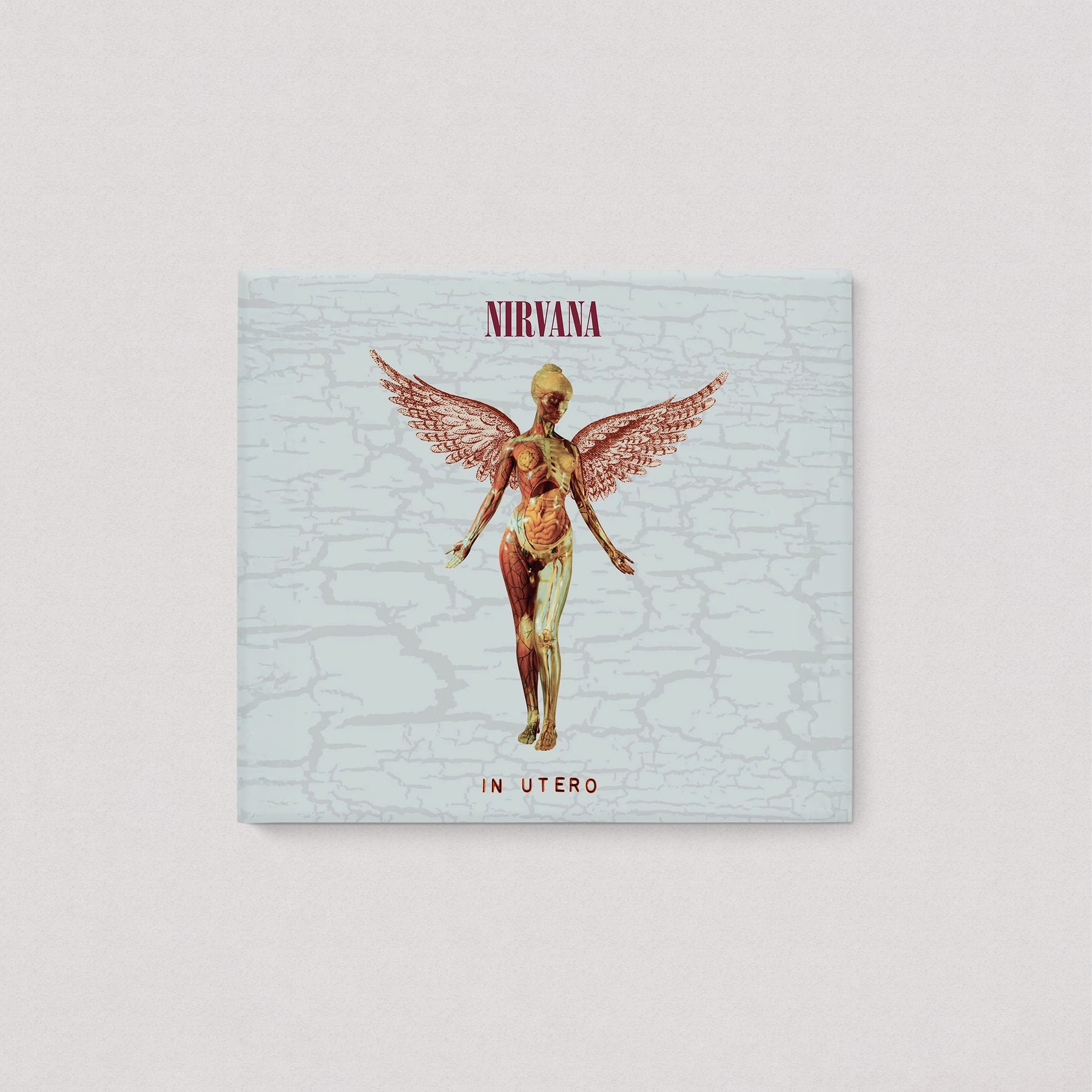 Nirvana - In Utero "30th Anniversary" (Deluxe Edition, 2CD)