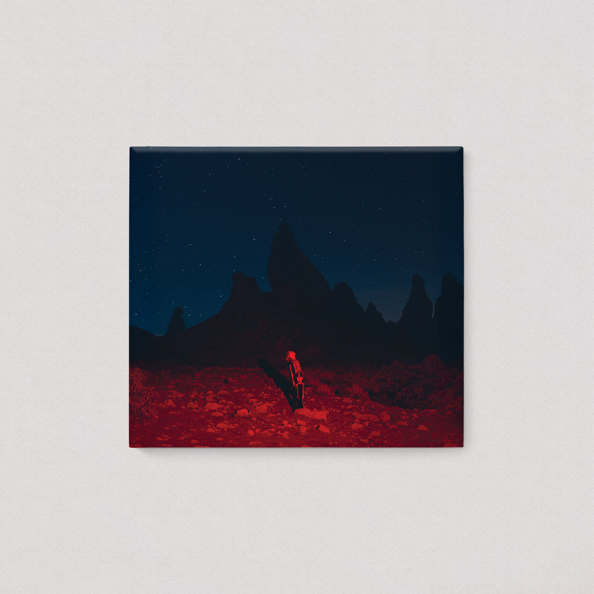 Phoebe Bridgers - Punisher (Digipak, CD)