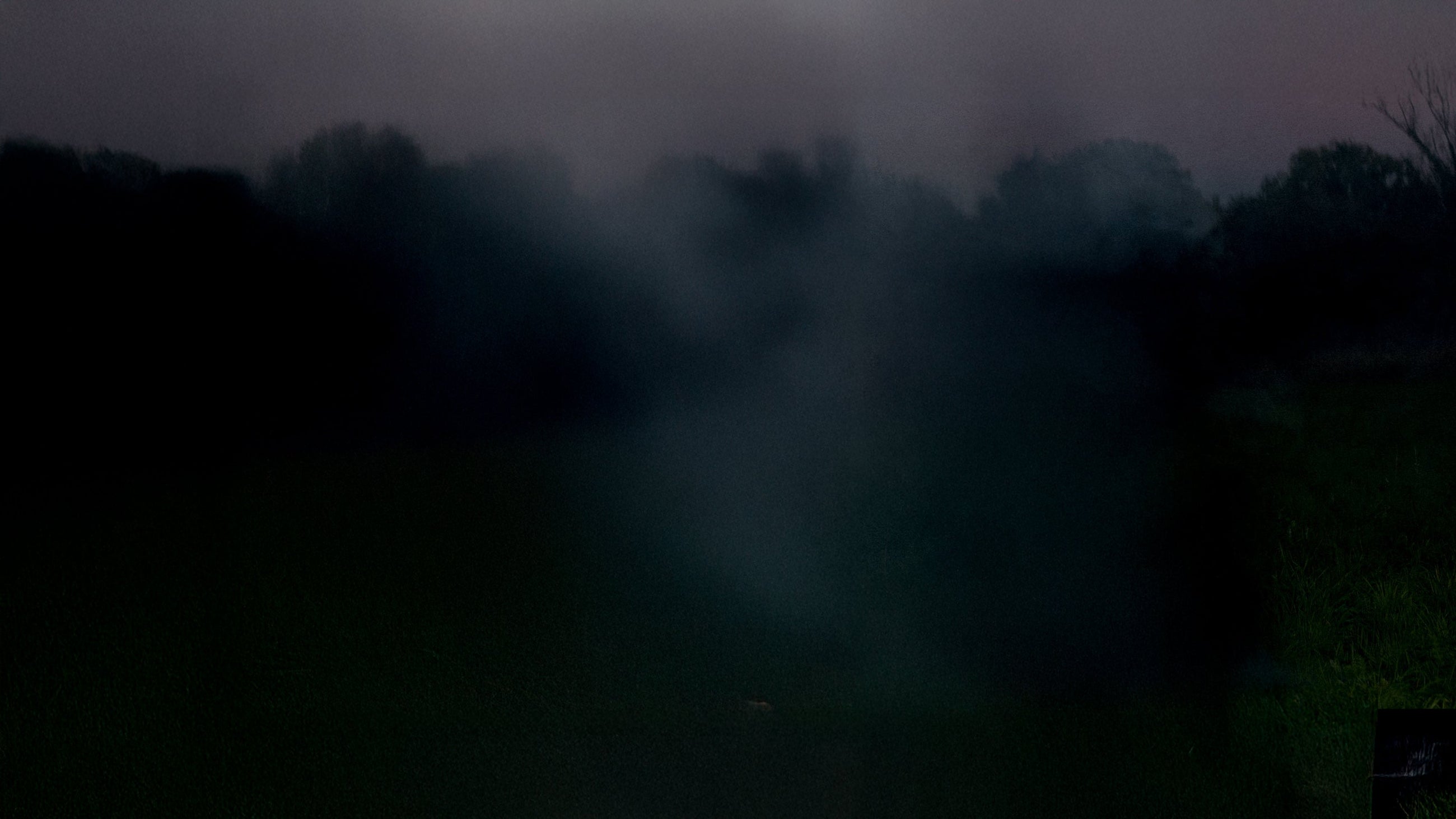 Harry Styles - Kiss All The Time. Disco, Occasionally.