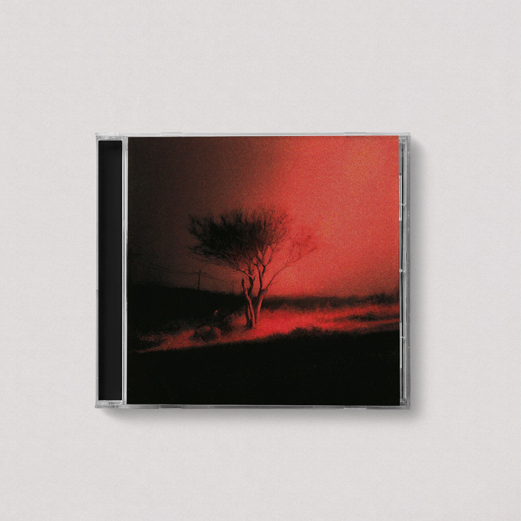 JOJI - Piss In The Wind (Standard, CD)