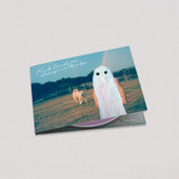 Phoebe Bridgers - Stranger In The Alps (Digipak, CD)